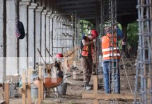 Avanza en un 82% la construcción del moderno mercado Félix Pedro Carrillo en León Foto: Avanza en un 82% la construcción del moderno mercado Félix Pedro Carrillo en León/TN8