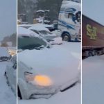 Inundaciones y nevadas extremas dejan 49 muertos en Sudáfrica Foto: Intensas nevadas en Sudáfrica /Cortesía