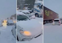 Inundaciones y nevadas extremas dejan 49 muertos en Sudáfrica Foto: Intensas nevadas en Sudáfrica /Cortesía