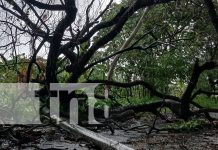 Foto: lluvias durante la madrugada en la Isla de Ometepe/TN8