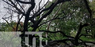 Foto: lluvias durante la madrugada en la Isla de Ometepe/TN8