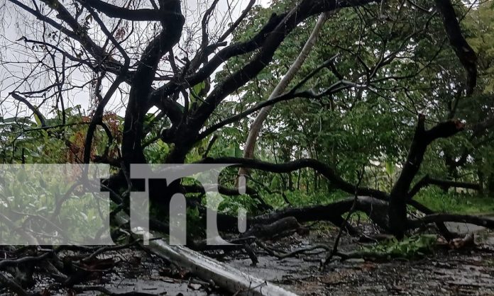 Foto: lluvias durante la madrugada en la Isla de Ometepe/TN8 Foto: lluvias durante la madrugada en la Isla de Ometepe/TN8