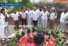 Nicaragua fortalece modelo de salud: Medicina ancestral con respaldo científico Foto: El sistema de salud pública de Nicaragua/TN8