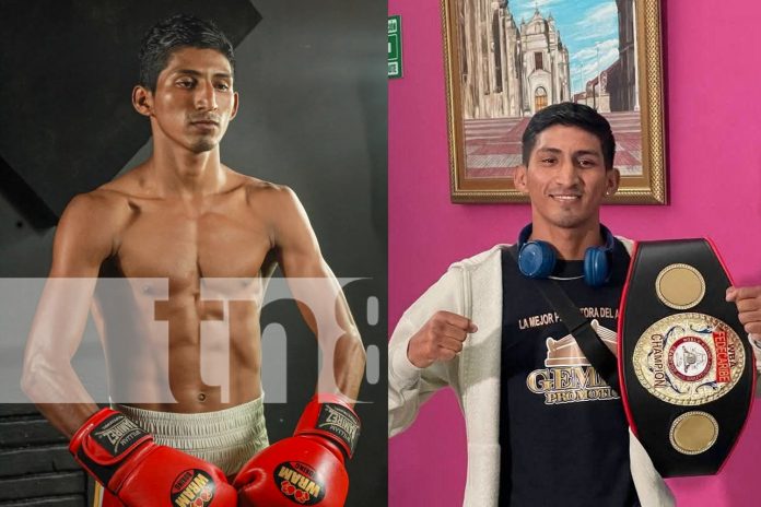 Foto: Campeón con escoba y guantes nace del mercado Roberto Huembes /TN8 Foto: Campeón con escoba y guantes nace del mercado Roberto Huembes /TN8