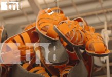 Foto: Del cuero al calzado: Nicaragua pisa fuerte en los mercados internacionales/TN8
