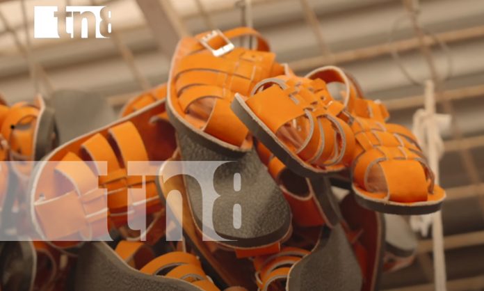 5 Foto: Del cuero al calzado: Nicaragua pisa fuerte en los mercados internacionales/TN8