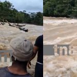 ¿Te has preguntado cómo llega el queso a tu mesa? (VIDEO) Foto: ¿Te has preguntado qué se arriesga para que disfrutes tu queso? /TN8