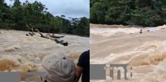 Foto: ¿Te has preguntado qué se arriesga para que disfrutes tu queso? /TN8