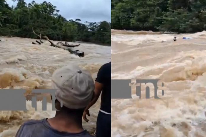 Foto: ¿Te has preguntado qué se arriesga para que disfrutes tu queso? /TN8 Foto: ¿Te has preguntado qué se arriesga para que disfrutes tu queso? /TN8