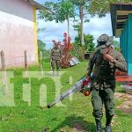 Ejército de Nicaragua y MINSA unidos en jornada preventiva de salud en Prinzapolka Foto: Ejército de Nicaragua refuerza lucha contra el dengue /TN8