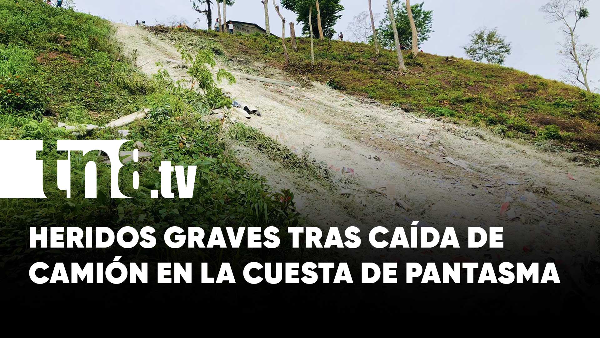 Vivos de milagro al caer con todo y camión a un abismo en la cuesta El ...
