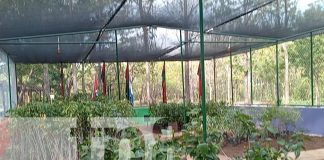 Foto: Inauguran Segundo Vivero Municipal en Parque de Ferias de Nandaime/TN8