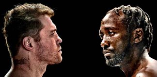 canelo, álvarez, terence, crawford,