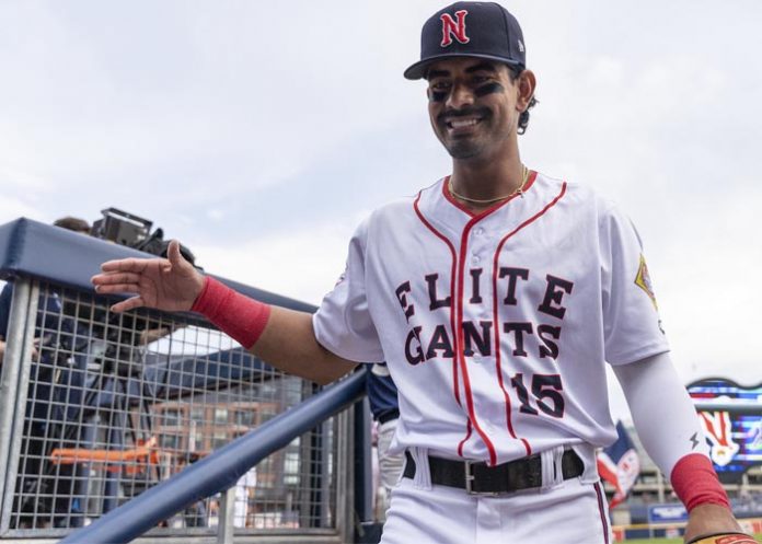 Freddy Zamora Resumen Nicas en Lgias Menores