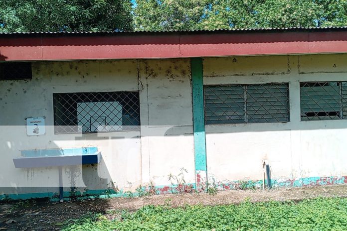 GuUTxd9WsAAmJ6u Nandaime