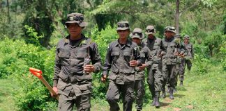Foto: Labores de reforestación con el Ejército de Nicaragua en el Caribe Norte /