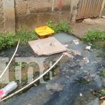 Respuesta a familias afectadas por un manjol ‘tufoso’ en Jardines de Veracruz Foto: Se acabó la preocupación para pobladores de Jardines de Veracruz /TN8