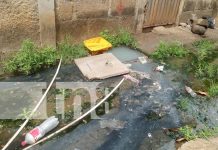 Foto: Se acabó la preocupación para pobladores de Jardines de Veracruz /TN8