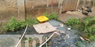 Foto: Se acabó la preocupación para pobladores de Jardines de Veracruz /TN8