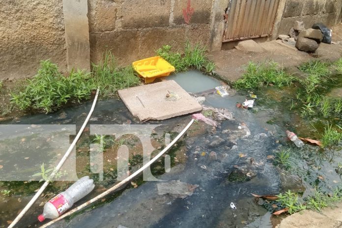 Foto: Se acabó la preocupación para pobladores de Jardines de Veracruz /TN8 Foto: Se acabó la preocupación para pobladores de Jardines de Veracruz /TN8