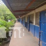 Otro instituto más será remodelado en Nandaime con una inversión millonaria Foto: Planean mejoras en colegio de comunidad de Nandaime / TN8