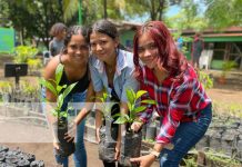 Inauguran vivero forestal y ornamental en INATEC de Chinandega Foto: Vivero en Centro Tecnológico de Chinandega / TN8