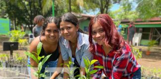 Foto: Vivero en Centro Tecnológico de Chinandega / TN8