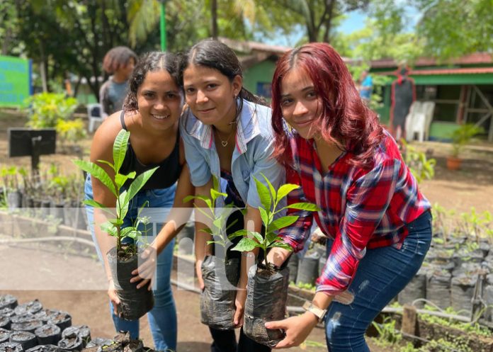 Foto: Vivero en Centro Tecnológico de Chinandega / TN8