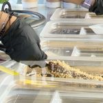 ChocoNic: el chocobanano que vos armás a tu gusto… y al instante Foto: ChocoNic, emprendimiento creativo en Managua / TN8