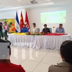 INTA y especialistas chinos analizan desafíos en la producción de cítricos Foto: Congreso Internacional sobre Producción de Cítricos / TN8