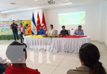 Foto: Congreso Internacional sobre Producción de Cítricos / TN8