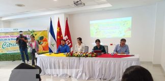 Foto: Congreso Internacional sobre Producción de Cítricos / TN8