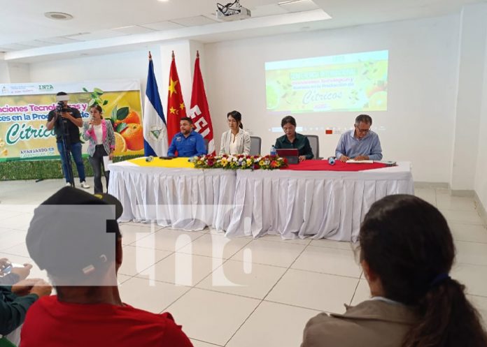 Foto: Congreso Internacional sobre Producción de Cítricos / TN8 Foto: Congreso Internacional sobre Producción de Cítricos / TN8