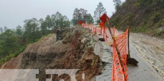 Foto: Deslizamiento en el municipio Murra / TN8