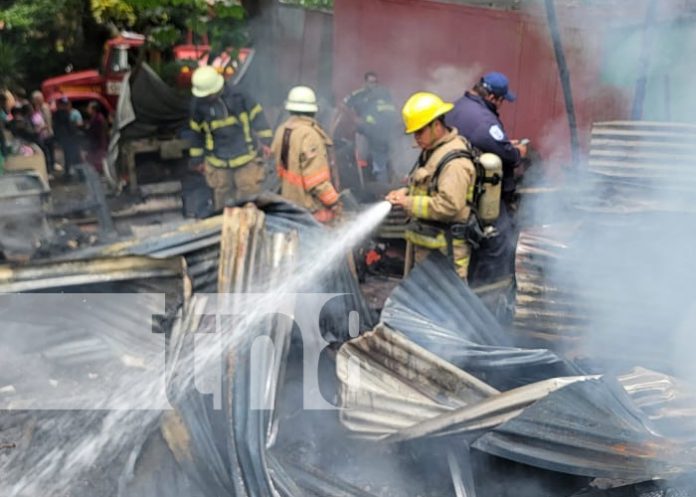 Foto: Incendio en vivienda de Monte Fresco, en El Crucero / TN8