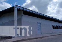 Con 70% de avance, la UNA construye moderno Centro de Biotecnología de Cultivos Foto: Nicaragua construye y avanza la primera etapa del Centro Nacional de Biotecnología de Cultivos / TN8