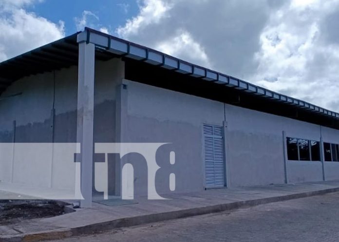Foto: Nicaragua construye y avanza la primera etapa del Centro Nacional de Biotecnología de Cultivos / TN8 Foto: Nicaragua construye y avanza la primera etapa del Centro Nacional de Biotecnología de Cultivos / TN8