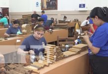 Fábricas de puros en Estelí bajo supervisión del MITRAB Foto: Inspección laboral en fábricas de puros en Estelí / TN8