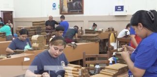 Foto: Inspección laboral en fábricas de puros en Estelí / TN8