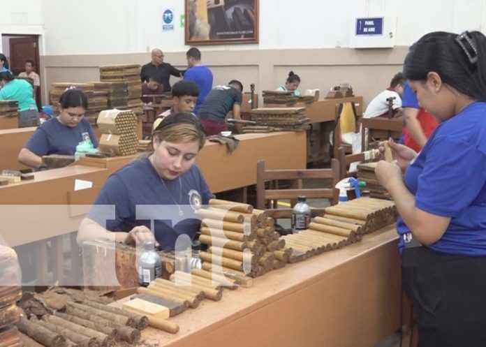 Foto: Inspección laboral en fábricas de puros en Estelí / TN8 Foto: Inspección laboral en fábricas de puros en Estelí / TN8