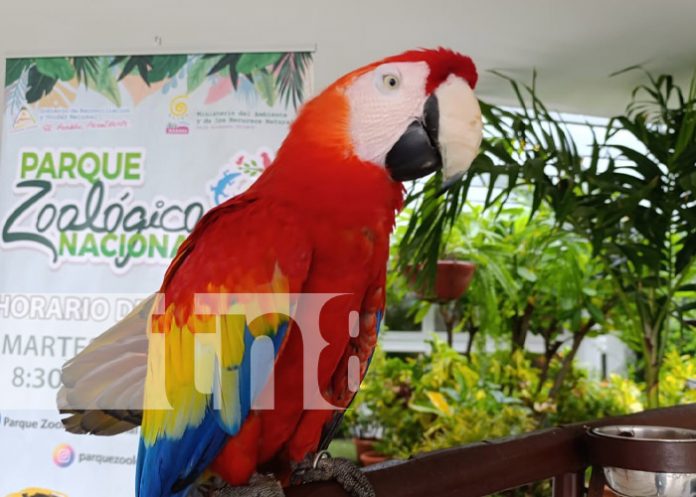 Foto: Feria  Foto: Feria