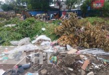 ¡Asco! Basurero crece sin control en el corazón de Managua Foto: Basurero clandestino en el Distrito I de Managua / TN8