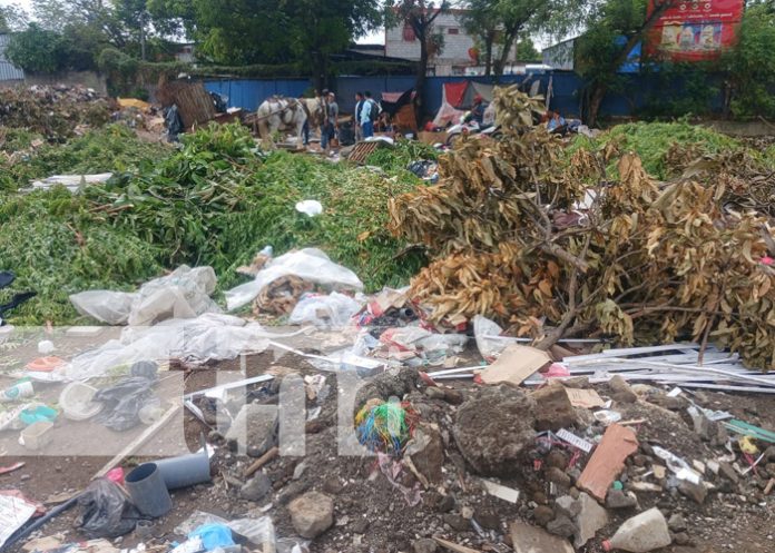 Foto: Basurero clandestino en el Distrito I de Managua / TN8 Foto: Basurero clandestino en el Distrito I de Managua / TN8