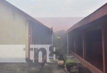 Bomberos de León controlan incendio en minutos cerca del Mercado Central Foto: Bomberos controlan incendio cerca del mercado central en León / TN8