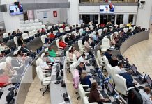 Aprueban reformas que darán vida al Consejo Nacional de Rectores Universitarios Foto: Asamblea da luz verde al Consejo Nacional de Rectores /TN8