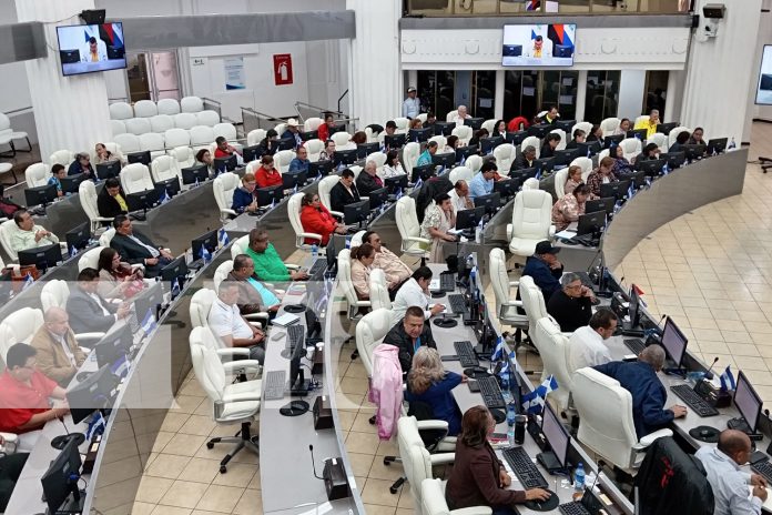 Foto: Asamblea da luz verde al Consejo Nacional de Rectores /TN8 Foto: Asamblea da luz verde al Consejo Nacional de Rectores /TN8