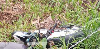 Foto: Muertes por accidentes en el Triángulo Minero / TN8