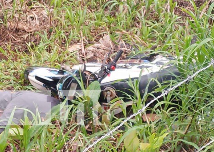 Foto: Muertes por accidentes en el Triángulo Minero / TN8