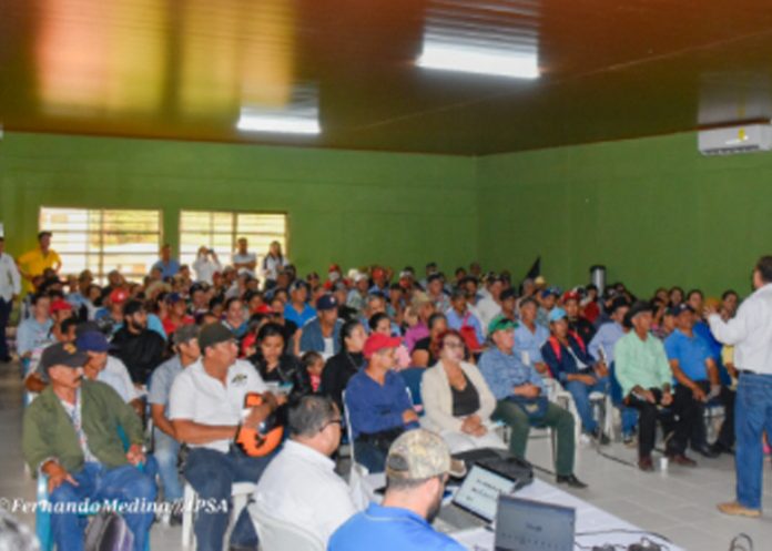 Foto: IPSA fortalece sanidad animal en San Nicolás Foto: IPSA fortalece sanidad animal en San Nicolás