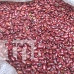 MIFIC confirma: la canasta básica mantiene precios estables para las familias Foto: MIFIC registra disminución en 8 productos /TN8